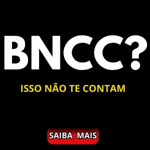 bncc-educacao-infantil.webp 